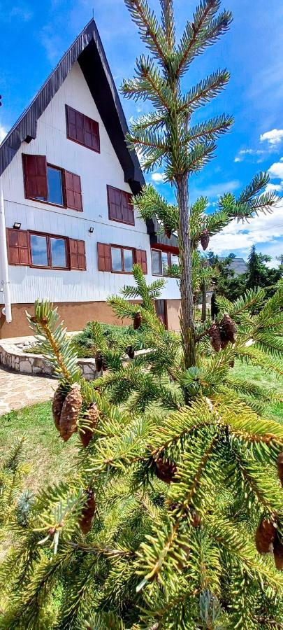 Apartment Relja Zlatibor Dış mekan fotoğraf